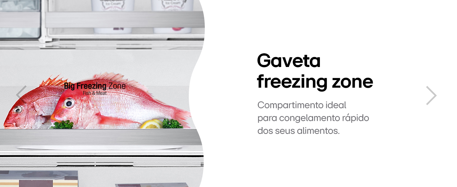 Gaveta com a imagem de 2 peixes congelados