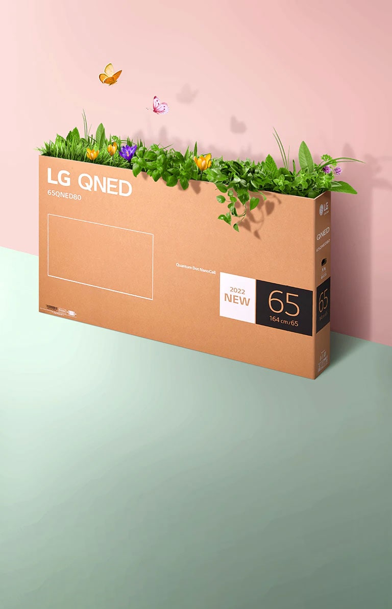 Embalagem ecológica